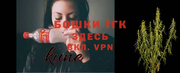 индика Армянск