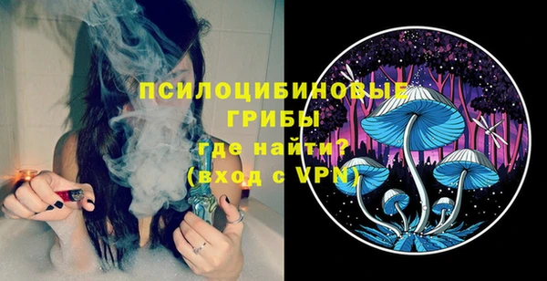 индика Армянск