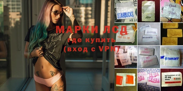 индика Армянск
