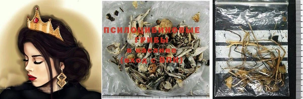 индика Армянск